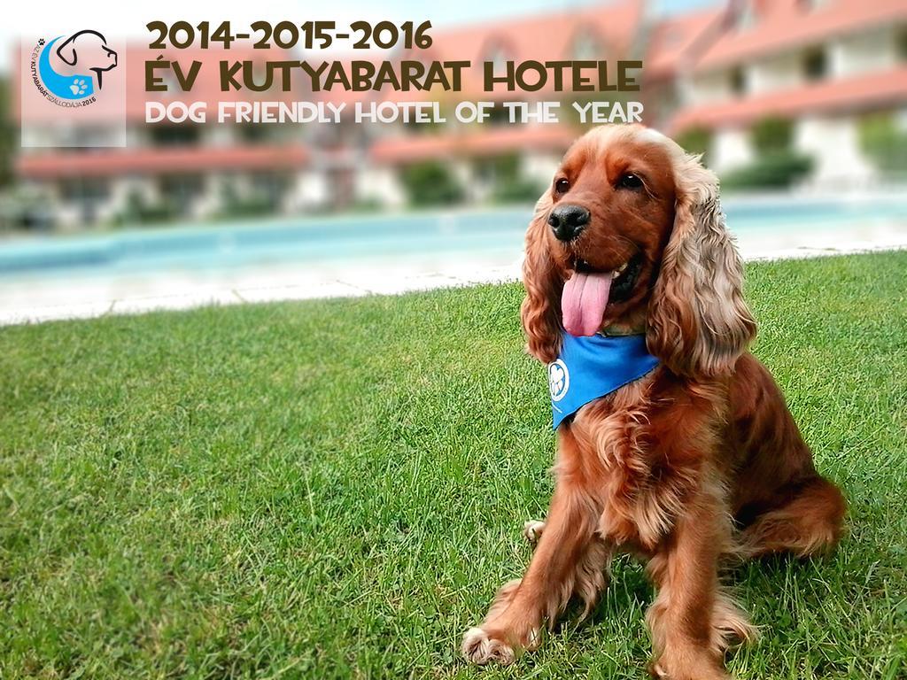 Hotel Abbazia Country Club Nemesnép Exteriér fotografie