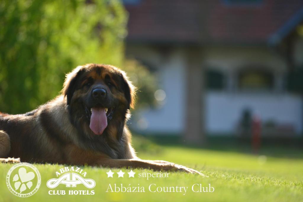 Hotel Abbazia Country Club Nemesnép Exteriér fotografie